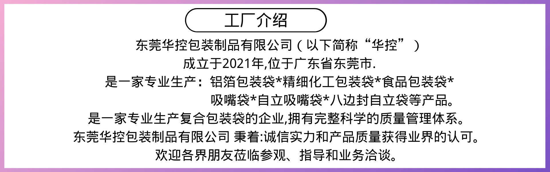 紫白色电商数码高端简约照片双十一购物狂欢季数码促销中文电商b