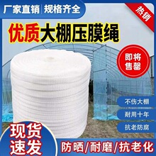 ���N�@ˇ���Ҵ��������Ĥ���K���Ӻ��ɫ���ϻ�������Ĥ�p��Ͳ��