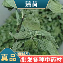 中药材薄荷 薄荷茶叶干薄荷叶泡茶水薄荷凉茶香薰工艺品鸡舍香草