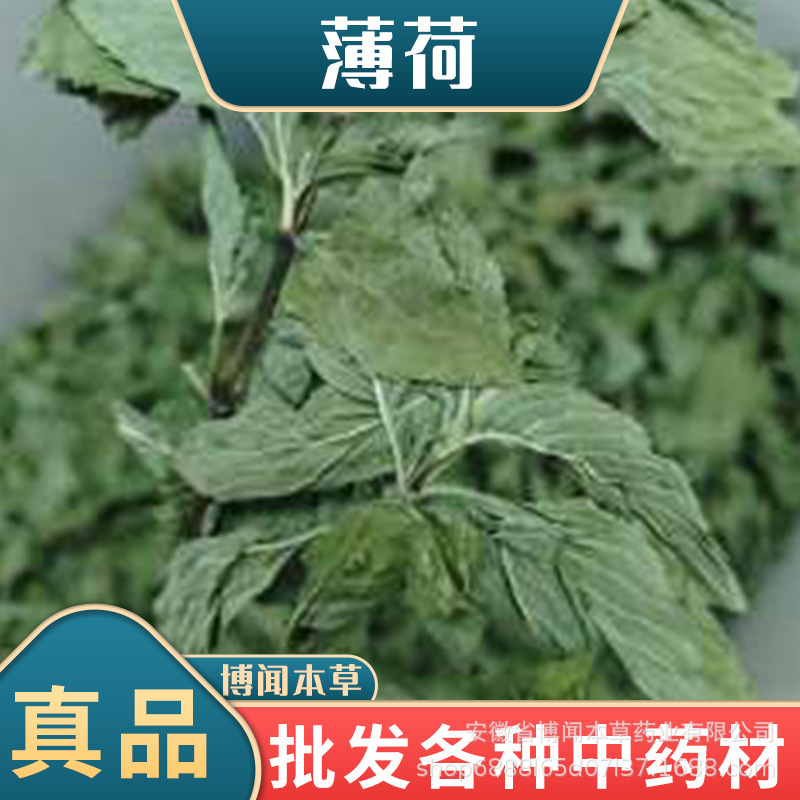 Chinese Herbal Medicine Mint, Mint Tea Leaves, Dried Mint Leaves for Making Tea, Mint Herbal Tea, Aromatherapy Crafts, Chicken Coop Herbs