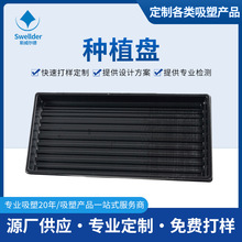 厚片吸塑大型ABS潮汐塑料盘植物生长苗床育苗盆温室芽苗栽培托盘