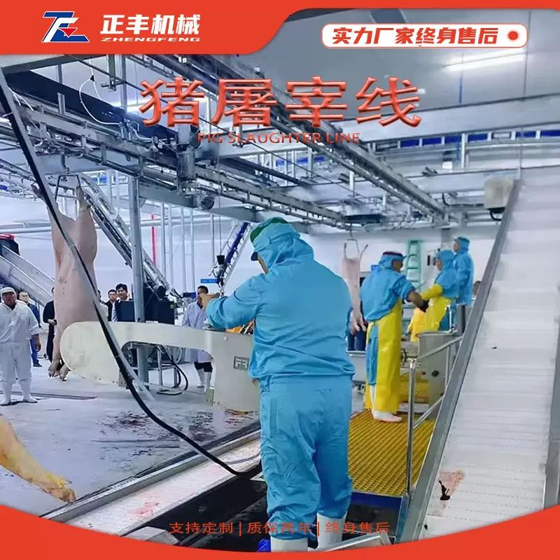 定制猪屠宰轨道线脱毛剥皮内脏处理胴体加工猪牛羊肉分割台输送线