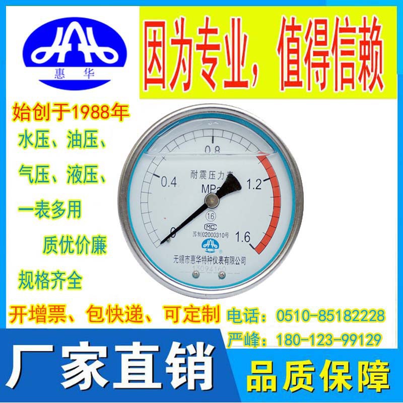 惠华特种仪表 全不锈钢表头耐震压力表YN-40BZQ轴向带边加油耐腐