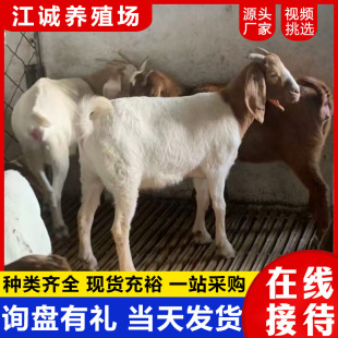 ����ɽ��С���N�ۃr�� ���N����ɽ��N����w�� ��ҕ�l���x����С