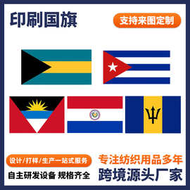 跨境外贸双面高清印制涤纶旗国家国旗活动装饰旗多尺寸团建涤纶旗