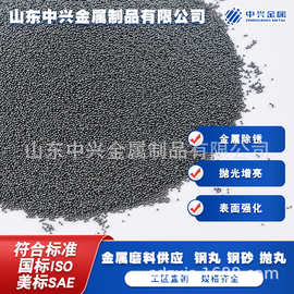 国标合金钢丸钢砂钢丝切丸轴承钢砂除锈金属磨料不锈钢丸实力厂家