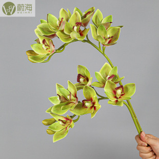 ����3Dޥ�m7�^���滨���l�Ҿӻ�c�bٻ���ޥ�m�����m���Gֲ