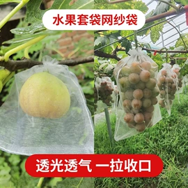 首饰包装;防虫网袋;首饰箱
