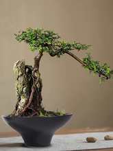 o̦\ާֲˮUɫմбPˮ