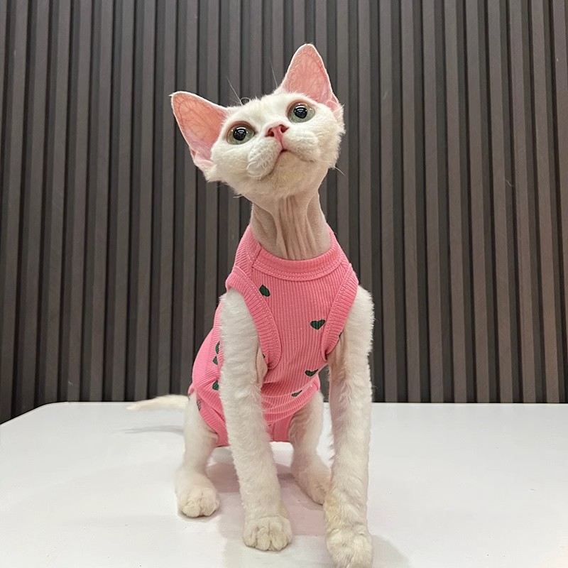 Protecție confortabilă pentru burtă elastică de vară pentru prevenirea răcelilor Vestă cu patru picioare cu aer condiționat Haine pentru pisici fără păr Sphynx cat German