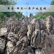 英德石产地直销原石天然峰石庭院鱼池假山造景石园林景观石青龙石