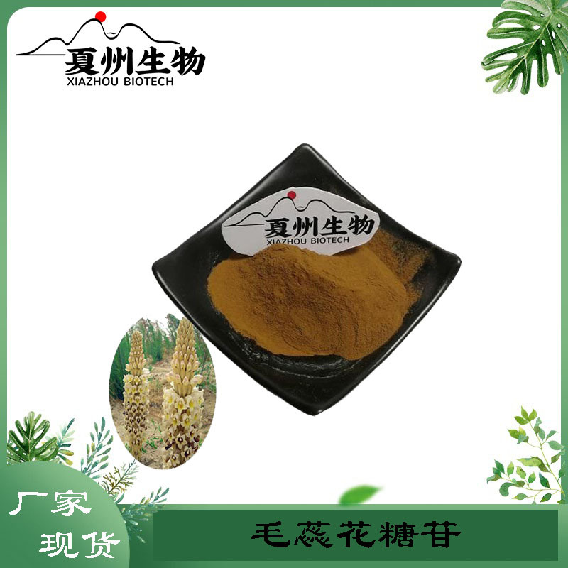 毛蕊花糖苷10% 管花肉苁蓉提取物 水溶 100g1kg规格 夏州现货