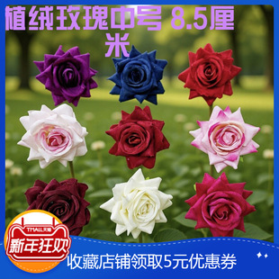 ����q��õ�廨�^8.5���׼tɫõ�廨�ػ����Ϸ��b�b���c����