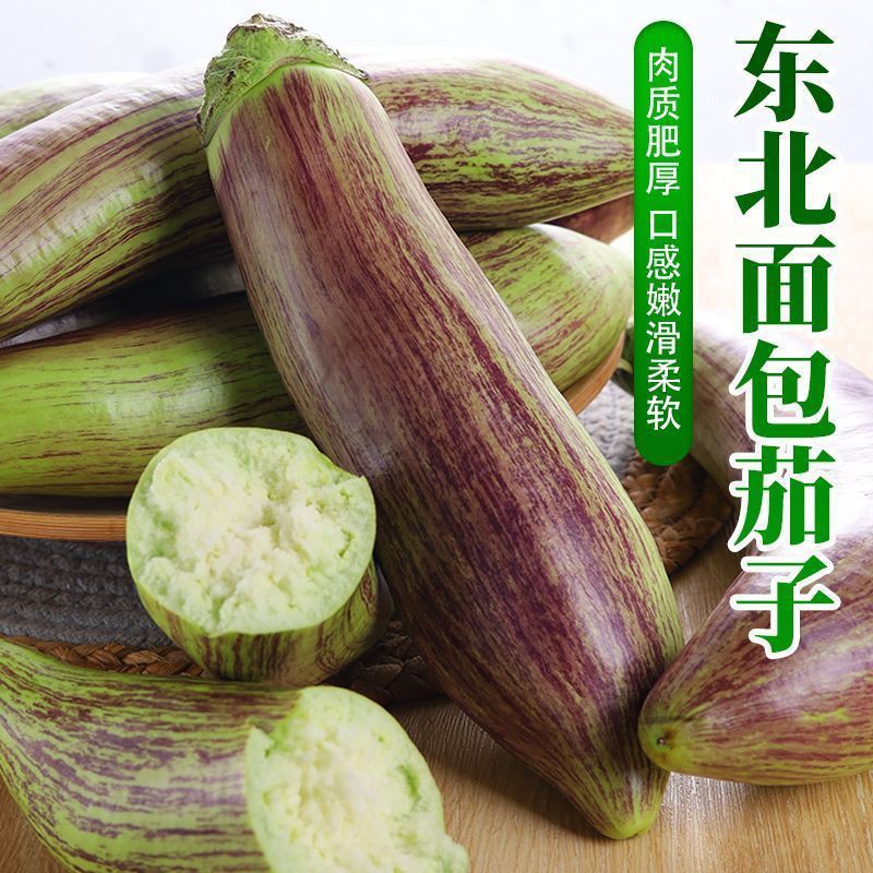 正宗花茄子东北冰川面包长茄新鲜自种炒菜做饭现摘现发烧烤红花郎