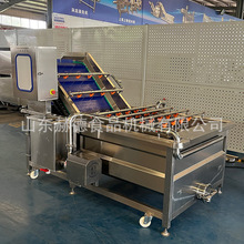 赫德多功能气泡清洗机香菇涡流清洗机全自动冲浪蔬菜芸豆清洗机