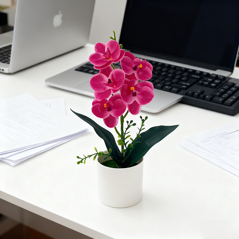 로즈 레드 (높이 31*가로 17cm)