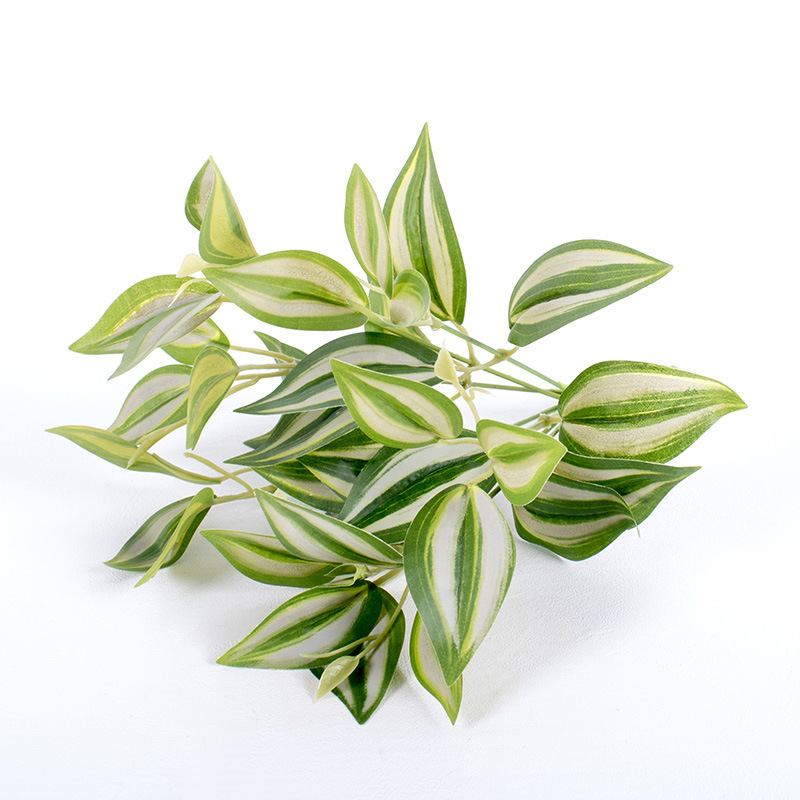 6-tenedor de la hierba de la ceja