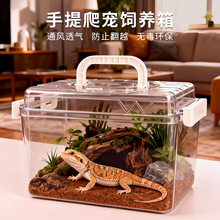 手提爬宠饲养箱蜥蜴守宫角蛙饲养箱爬行宠物乌龟冬眠箱便携透气
