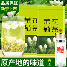 茉莉花茶叶新茶浓香型耐泡茉莉花茶绿茶125g500g罐装批发工厂