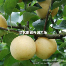 ���A�������޽������ͺ��߮a������̖�������A�ع����箔��Y��