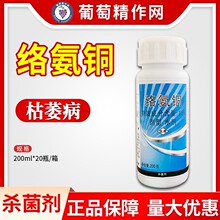 �̺� ͭ��� �簱ͭ 15%�簱ͭ ���Ͽ�ή��ɱ����ũҩ200g