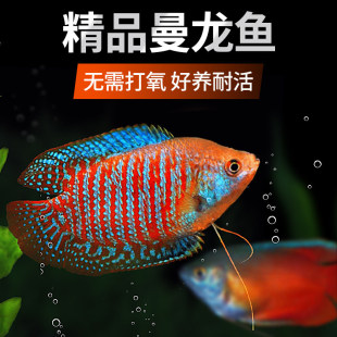 ����ˮ�������~�Ꭷ�^�p�~�~��С�͵�ˮ���B��������~�����R���~