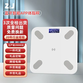 体重秤;厨房秤;手提秤