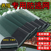 �r���Bֳ���Bֳ���ӾW�з�r�؇��W�B�r100��С���r���~�����o��