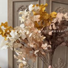 ������ɫ�����~�� �����Ӱ巿���b�ꙻ�����gܛ�b�����bٻ�