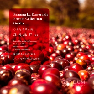 Производитель источника Panama Emerald Manor Green Label Wavenile мыть религиозная летняя кофейная фасоль свежая жареная ручная кофе порошок