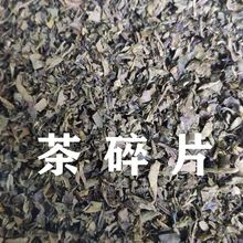 茶叶批发高山云雾绿茶粗茶茶片年新茶英山绿茶茶梗茶头散装