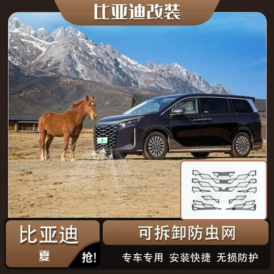 Suitable for 25-26 BYD models, summer insect-proof net, dmi front grille, radiator protection accessories, clip-on, no-disassembly modification