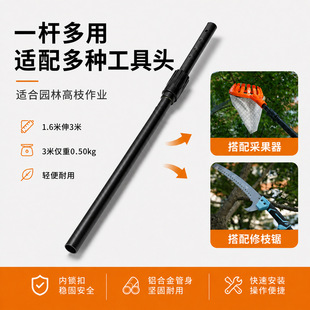 ���D���i��s�U �@�ָ�֦䏼��L�U �߿���֦������s�B�ӗU��֦��