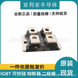 IGBT模块;集成电路;普通晶闸管