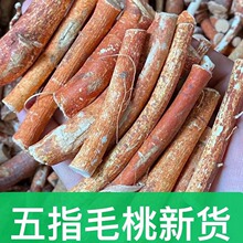 ��ָë�����l�Ҝ��� ��ָţ�̏V���a�ع��� ���Ѹ�؛��ץ������