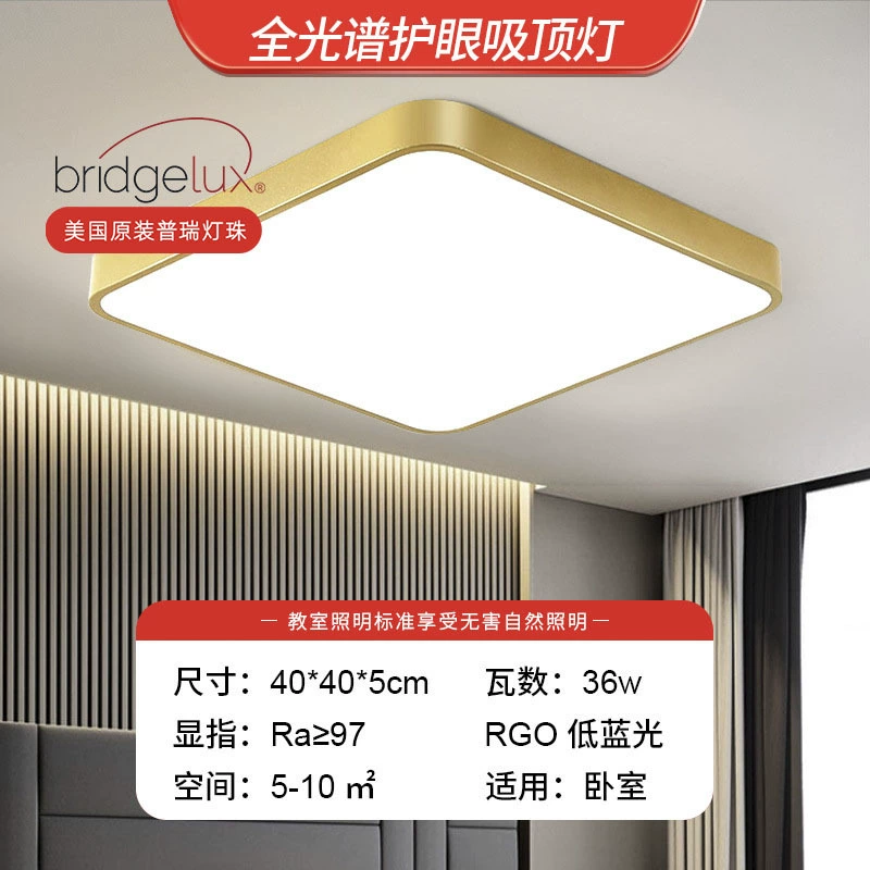 Golden LED ceiling light, lights for corridor, room light, light luxury style