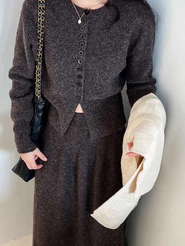 Luxe French-Style Round Neck One-Button Cardigan Top + Skirt Set, Little Shouchang Windy Dress, Size SS366