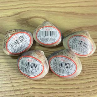 ί���������χ�؛ؐ�����o��˪���Ѹ����o�w��ʽ���������������l