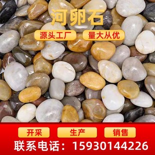 �S�ҹ����Z��ʯ�~�׻���ͥԺ�b@ˇ�@�־G���·׃�����V��