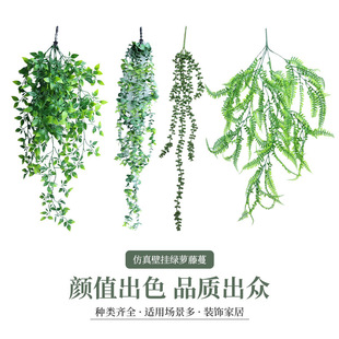 �羳���R���������҃ȑ����bҒ���������������_�ޗl�Gֲ�辰