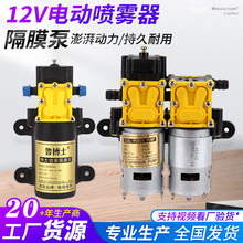 农用微型电动隔膜泵大流量12V水泵双核配件批发增压泵智能增压泵