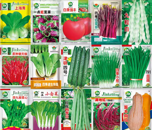 �~��������С�[�uë������֥������K�����׷N�߲˷N��