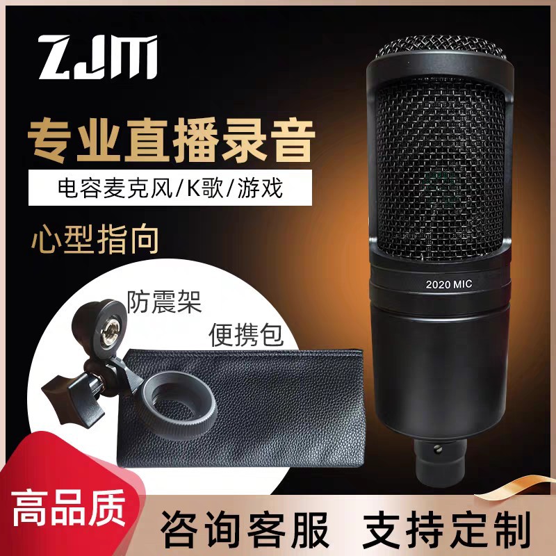 Cross-Border At2020 Large Diaphragm Condenser Microphone Anchor Recording Studio Equipment Audio Recording Karaoke Professional Microphone