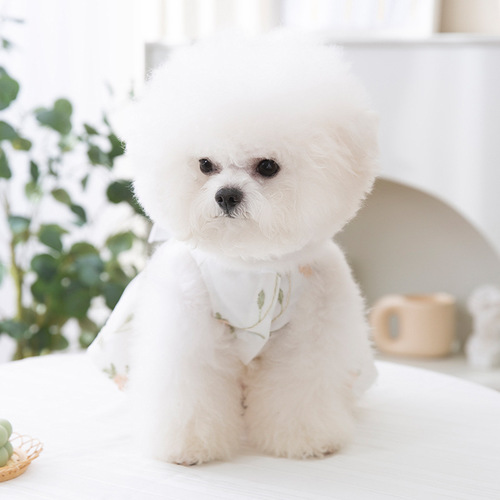 New spring and summer puppy three-dimensional bow dress cat princess style skirt thin pet dog clothes