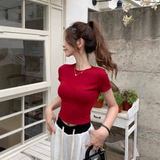 爆款热销纯色正肩T恤女夏季高弹修身显瘦短袖女装上衣外贸出口