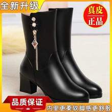 ܛƤЬѩѥиƤЬӽqͲѥ2025¿ѥ