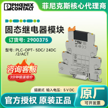 �����˹ԭװ��̬�̵���ģ��PLC-OPT-  5DC/ 24DC/2/ACT 2900375