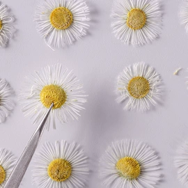 干花;贺卡;相框、画框