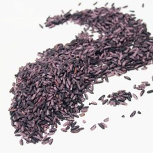 低溫烘焙 熟紫米 5斤/包 五谷磨坊原料