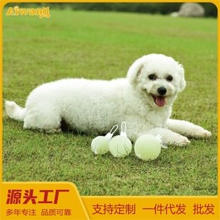 Meianju Pet Ball Elastic Luminous Ball Dog Toy Bite-Resistant and Boredom-Relieving Solid Ball Molar Tpr Pet Toy